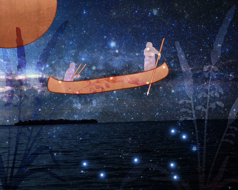 Wild Ricing Constellation